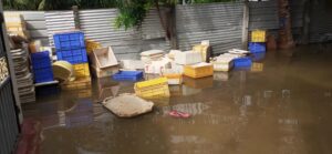 VideoCapture 20211110 112121