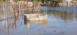 VideoCapture 20211130 165935