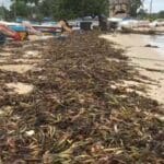 WhatsApp Image 2021 11 08 at 9.39.03 PM e1636388354824