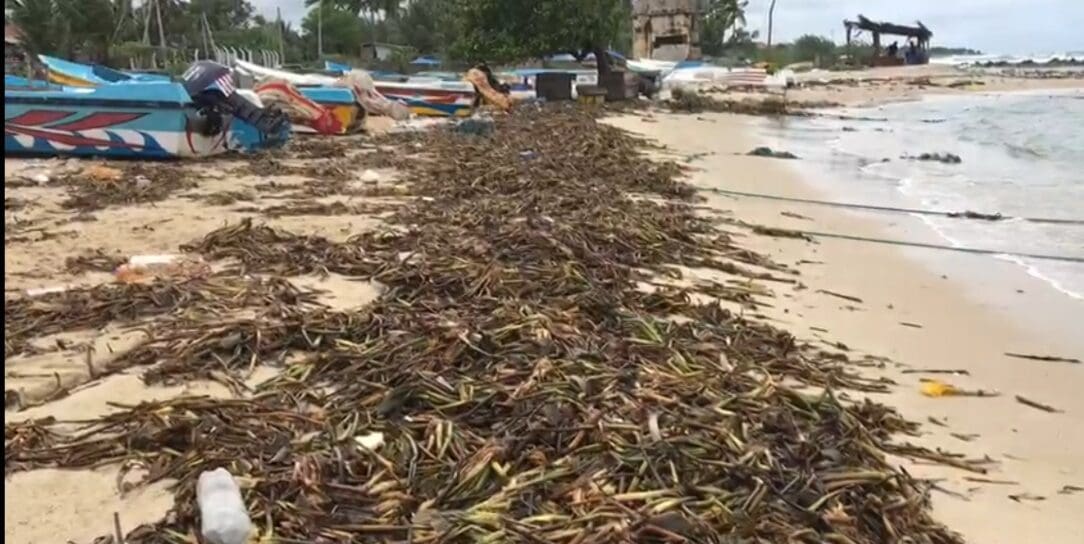 WhatsApp Image 2021 11 08 at 9.39.03 PM e1636388354824