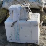 WhatsApp Image 2021 11 20 at 13.40.13 1