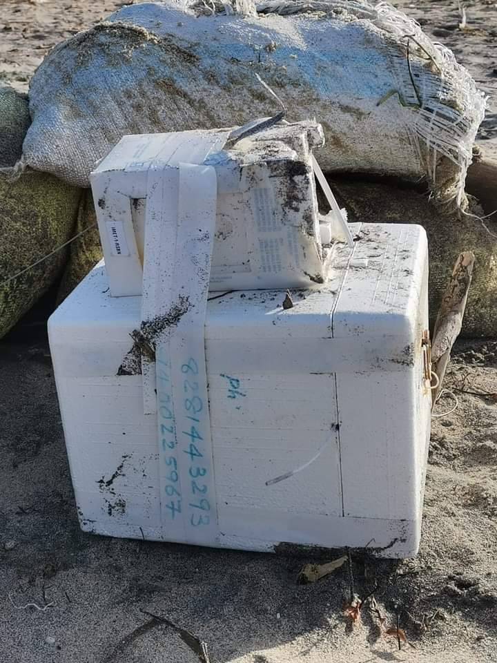 WhatsApp Image 2021 11 20 at 13.40.13 1