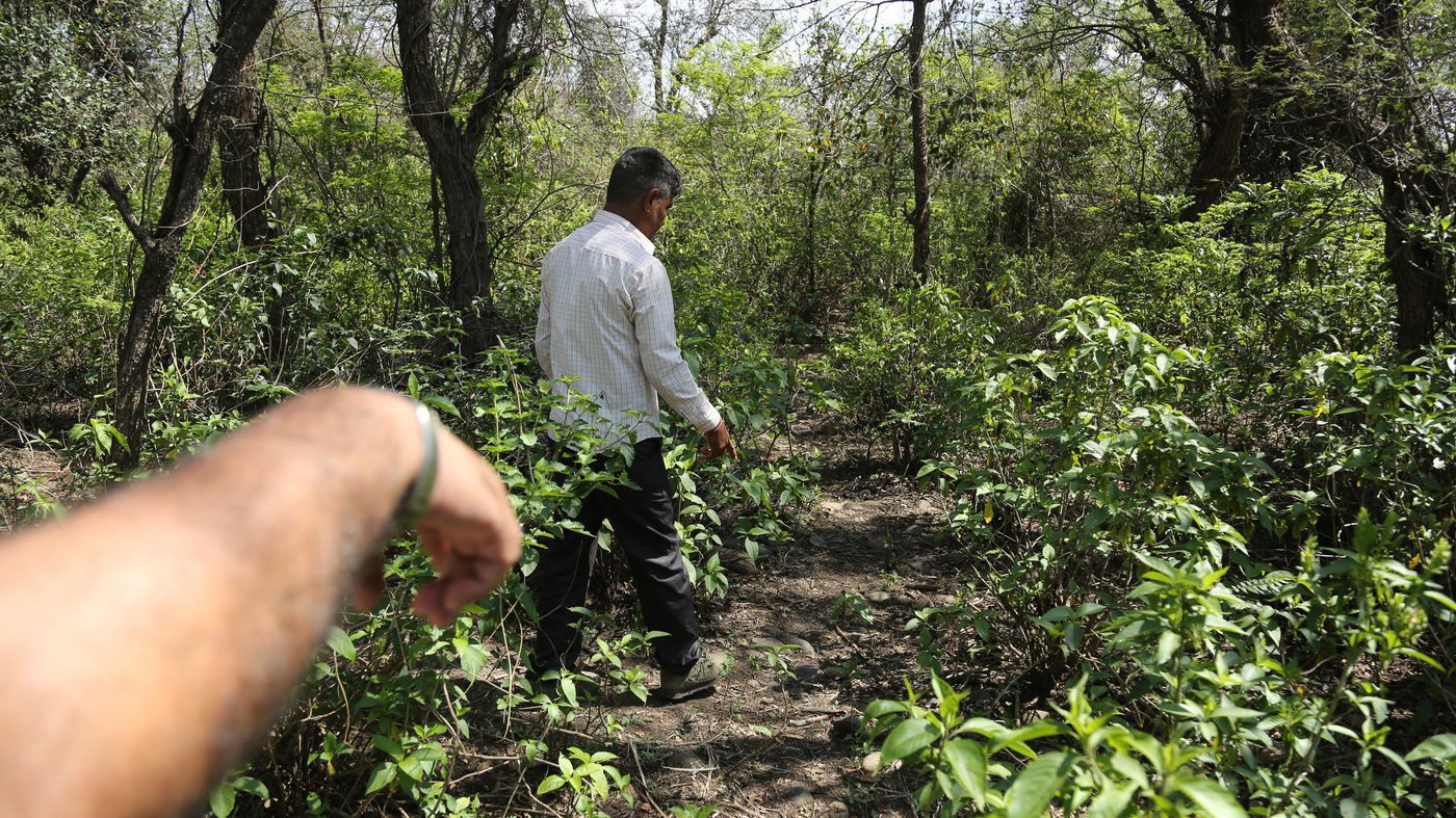 ap 18103391475776 60 wide 4d90400ebc507c478c073e6bda2ee3c6c12dfc5e