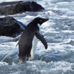 bb4cdd18 d9a9 40c5 bd9a 3bd9f18b3959