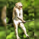 d24010d4 9b67 4986 8284 4799046b74eb