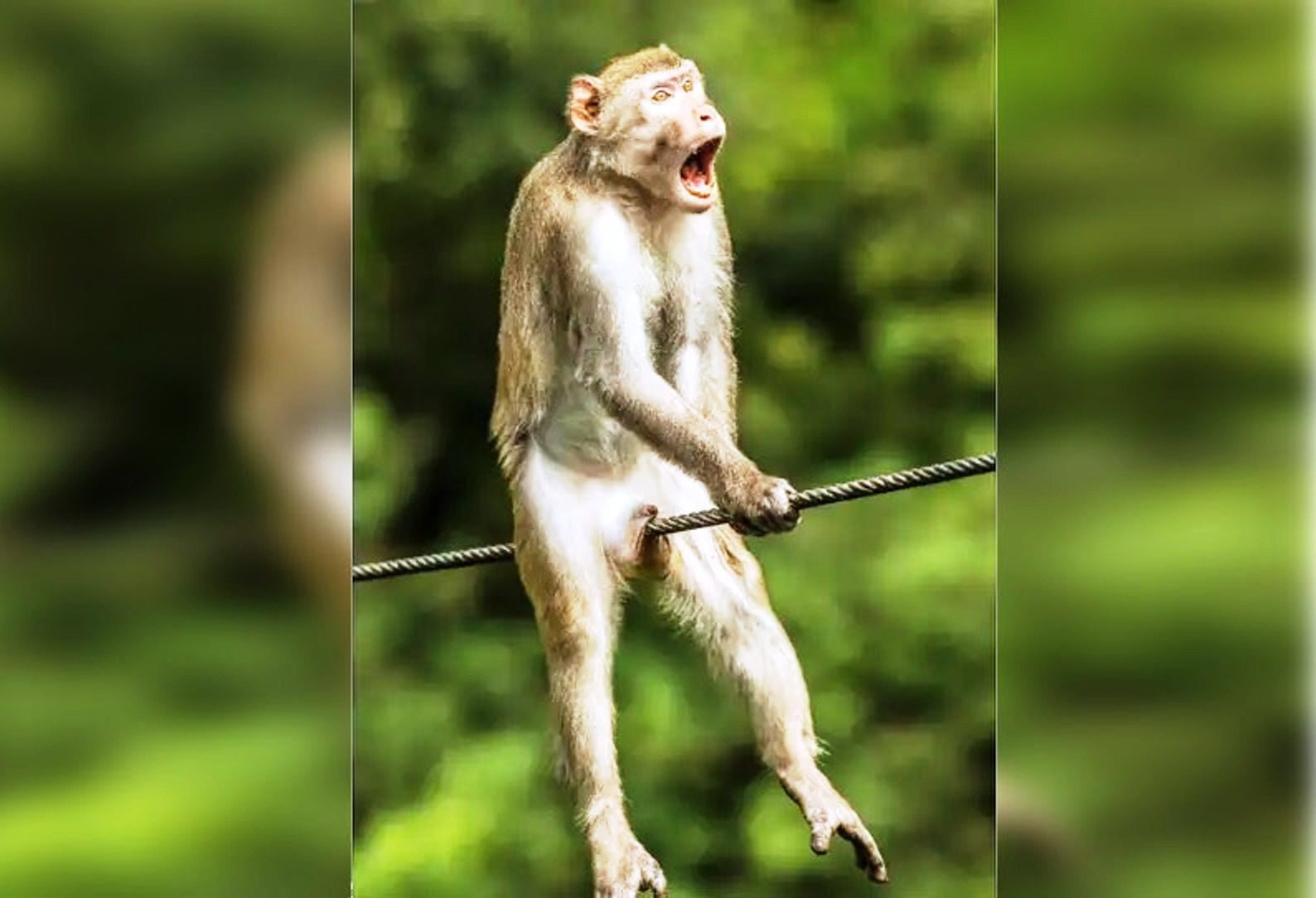 d24010d4 9b67 4986 8284 4799046b74eb