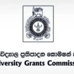 f185ec73cc55bde1c5e6c31a1c08bf74 XL