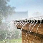 gallerye 142223984 2867436