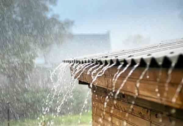 gallerye 142223984 2867436