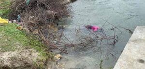 mannar2 1 e1636825268828