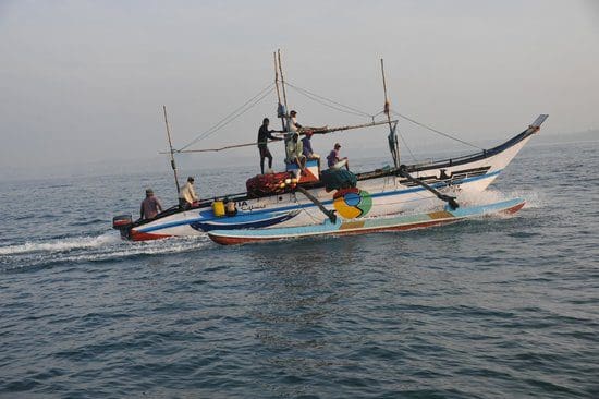 whales watching sri lanka