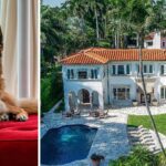 world richest dog german shepherd gunther iv selling madonna miami mansion one million dollars mh 1637266360889