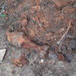 20211208 105333 scaled 1