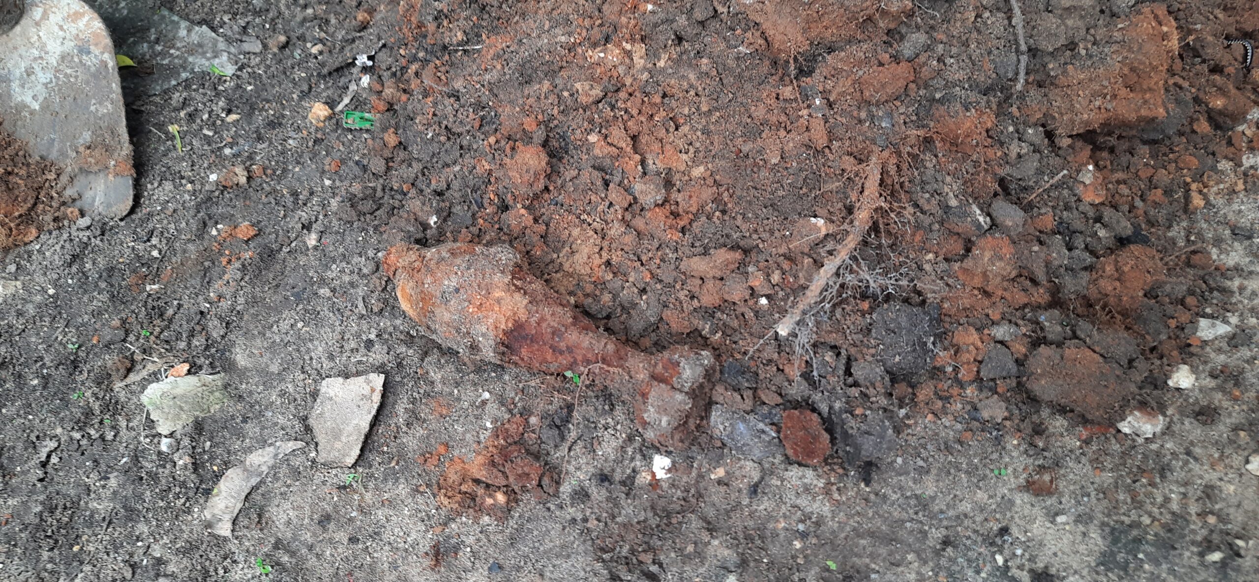 20211208 105333 scaled 1