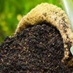 21 617419a735662 600x375 1