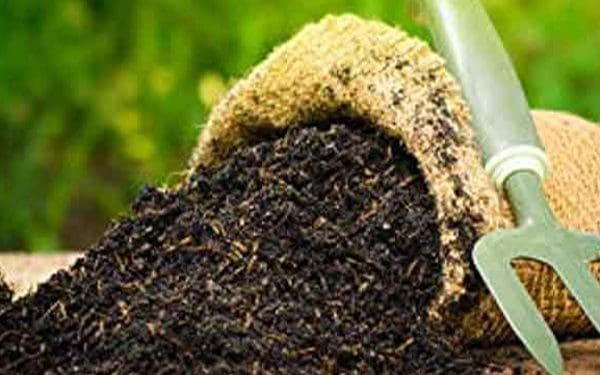 21 617419a735662 600x375 1