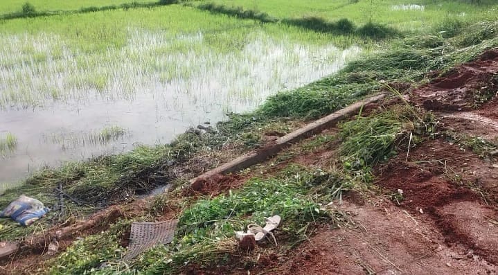 264055856 5534234933270724 5972628020389659614 n