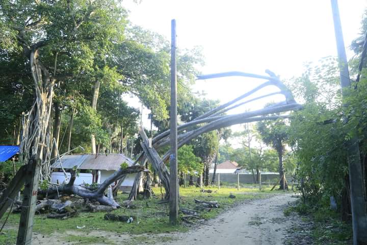 427e7850 a844 4a09 8d7a 7ffd6fd79878