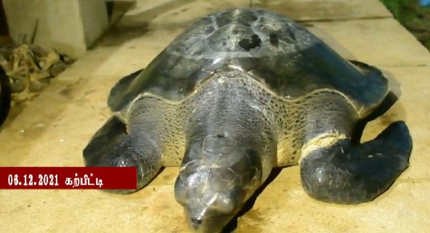 7b73e0b5 d47b1018 sea