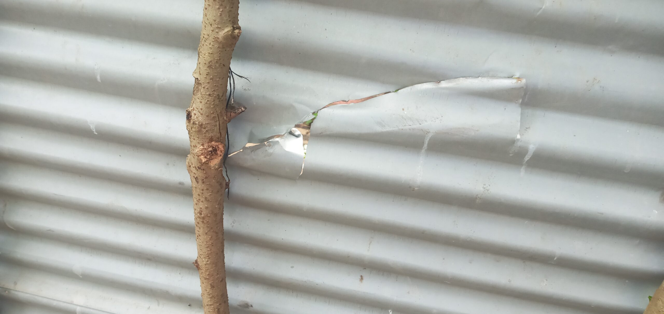 IMG 20211213 120410 scaled