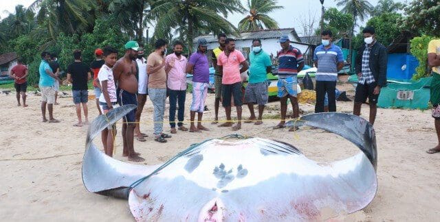 IMG 9074 e1639397900721