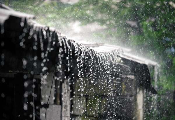 Tamil News large 2908707