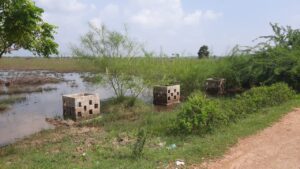 WhatsApp Image 2021 12 03 at 2.57.22 PM