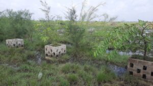 WhatsApp Image 2021 12 03 at 2.57.24 PM