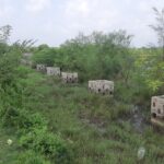 WhatsApp Image 2021 12 03 at 2.57.25 PM