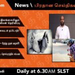 WhatsApp Image 2021 12 08 at 11.51.25 PM