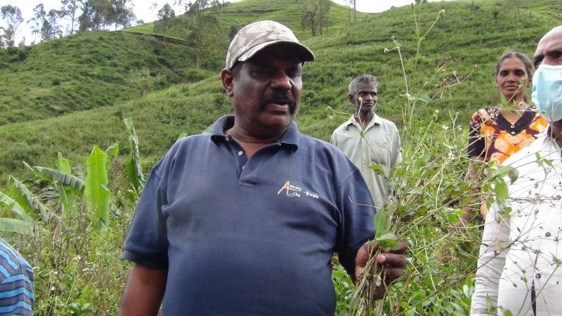 WhatsApp Image 2021 12 14 at 2.49.23 PM