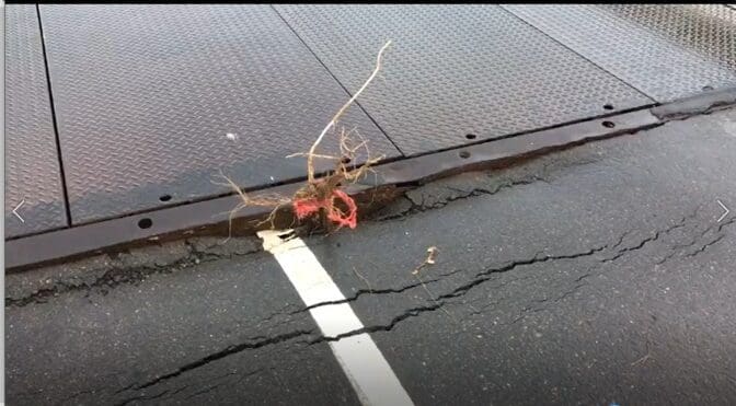 WhatsApp Image 2021 12 14 at 5.23.36 AM e1639439670416