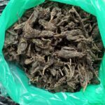 WhatsApp Image 2021 12 17 at 4.08.01 PM