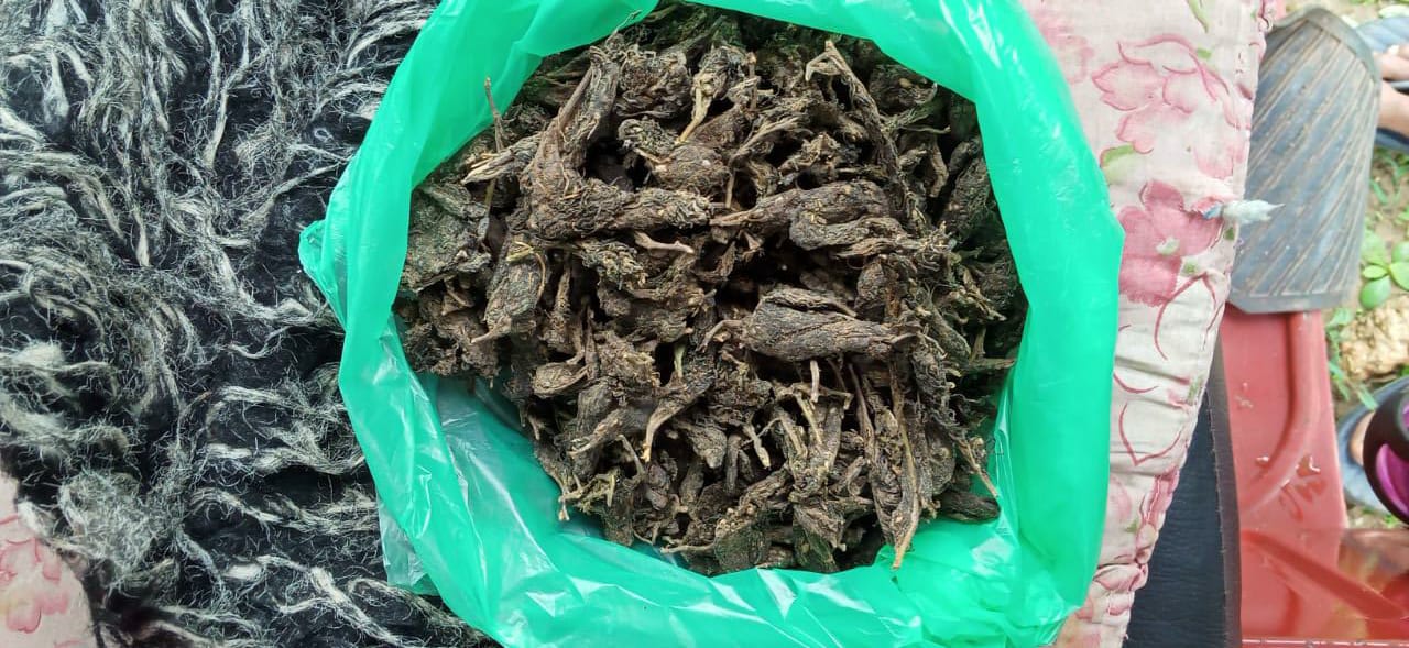 WhatsApp Image 2021 12 17 at 4.08.01 PM