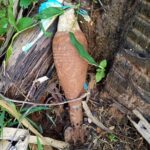 WhatsApp Image 2021 12 19 at 7.00.37 PM