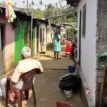 e14ace8d 757b 40df b664 51122f0ce533