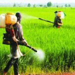 green the soil 2020 06 09