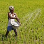 qhwTf5OW6lpU4Hi6 Article Cover