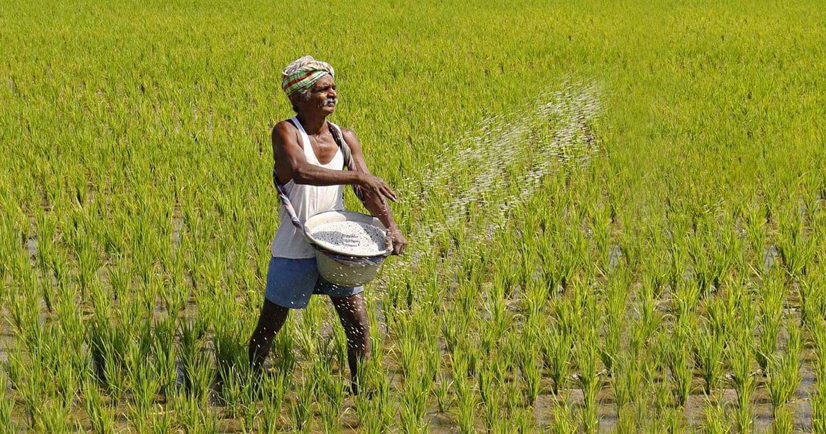 qhwTf5OW6lpU4Hi6 Article Cover