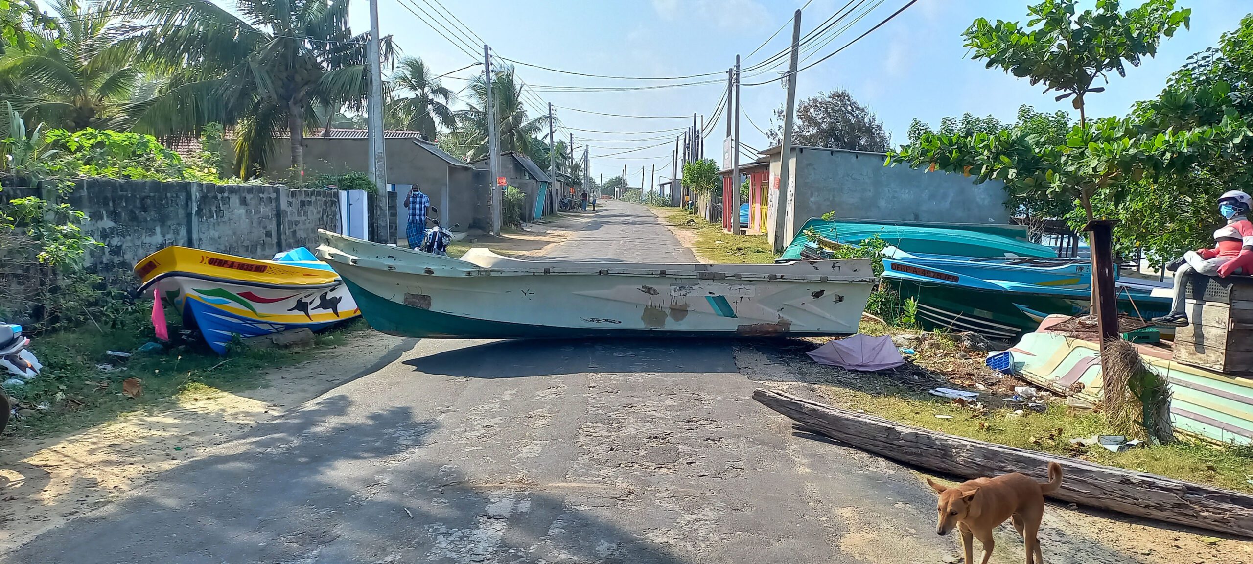 20220131 154612m scaled