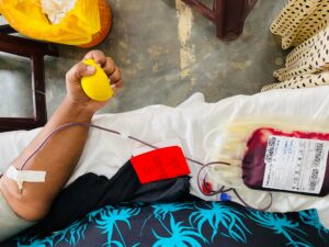 270126454 295460725879792 2024013943259149032 n