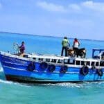 271132332 2167496003431834 5254795060165036329 n