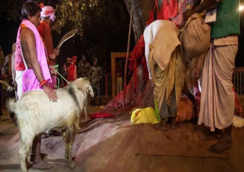 2e8377f7 7c3a 486e a671 d6ddc4ce6a21