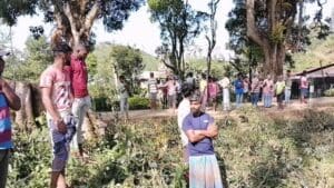 இன்று காலை இடம்பெற்ற விபத்து (படங்கள்) 4 Accident 01