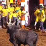 Jallikattu 1