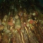 Tamil News large 2934487