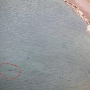 WhatsApp Image 2022 01 11 at 10.38.58 AM 1