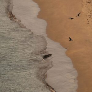 WhatsApp Image 2022 01 11 at 10.38.58 AM