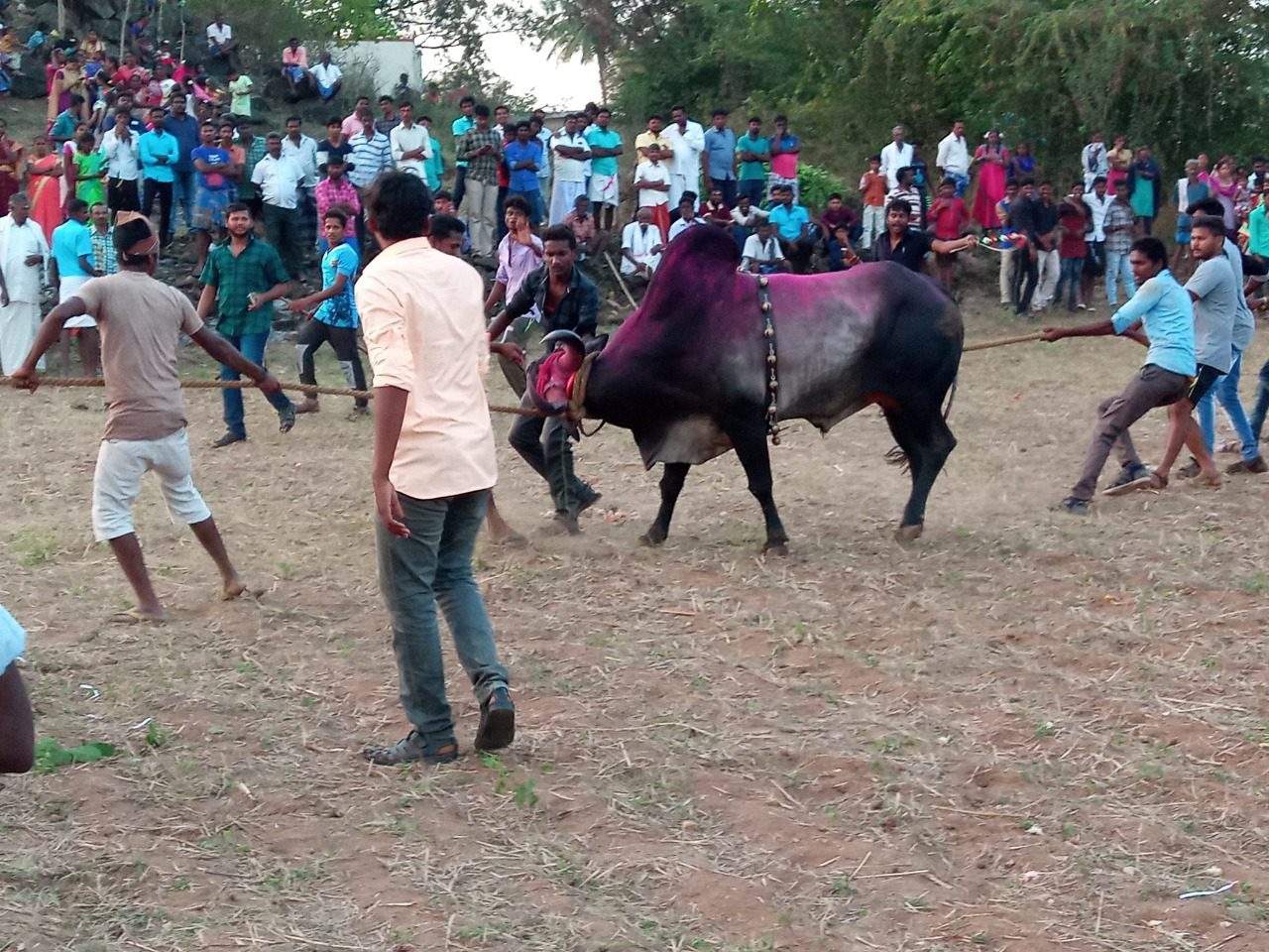 WhatsApp Image 2022 01 24 at 9.26.57 PM