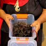 WhatsApp Image 2022 01 25 at 5.15.03 PM 1